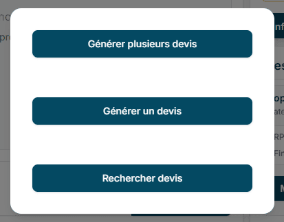 Choix de création du devis